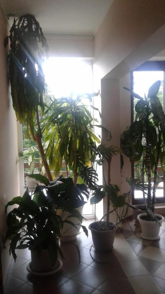 Guest House Villa Nadezhda view 4