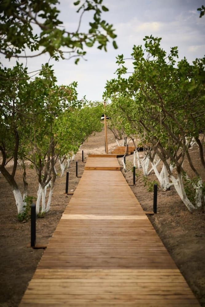 EcoHouse Glamping by ART HOTEL