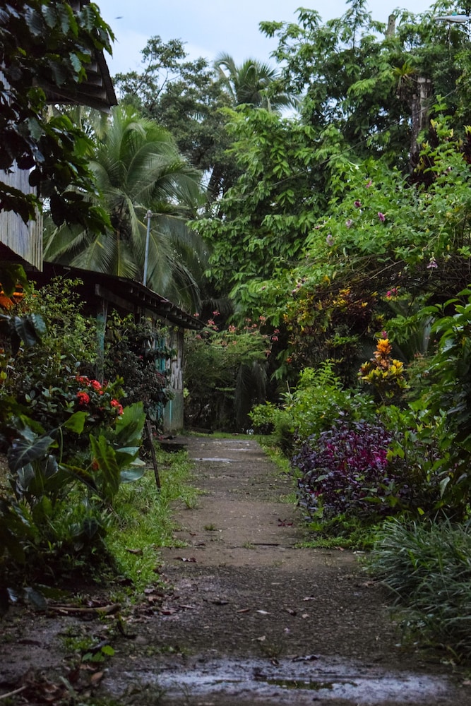 Tapir Lodge