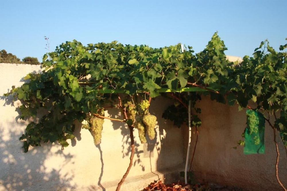 CasaSolare Rakalia