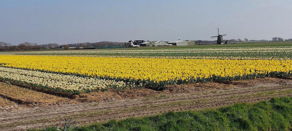 Pretty Bungalow in Sint Maartenszee