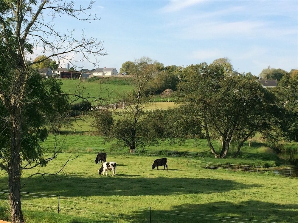 Ashbrook House B&B