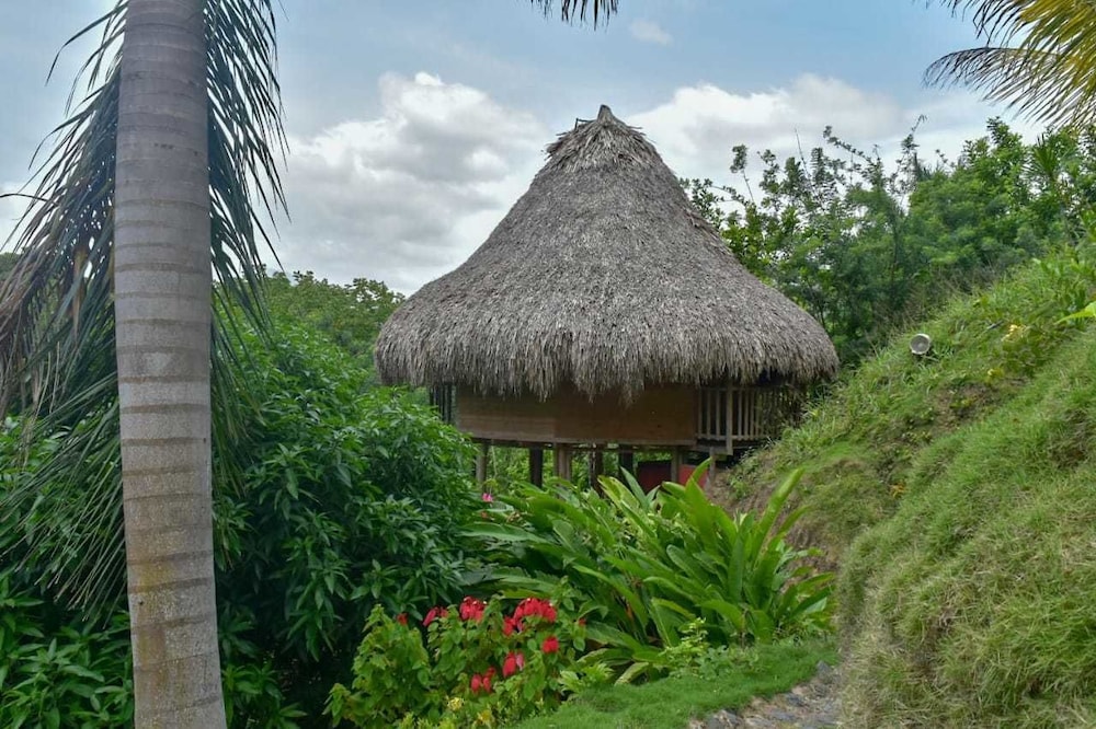 Ecohabs Bosques del Tayrona