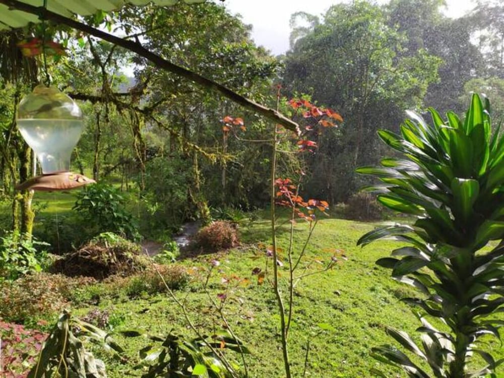 Mindo Eco chalet