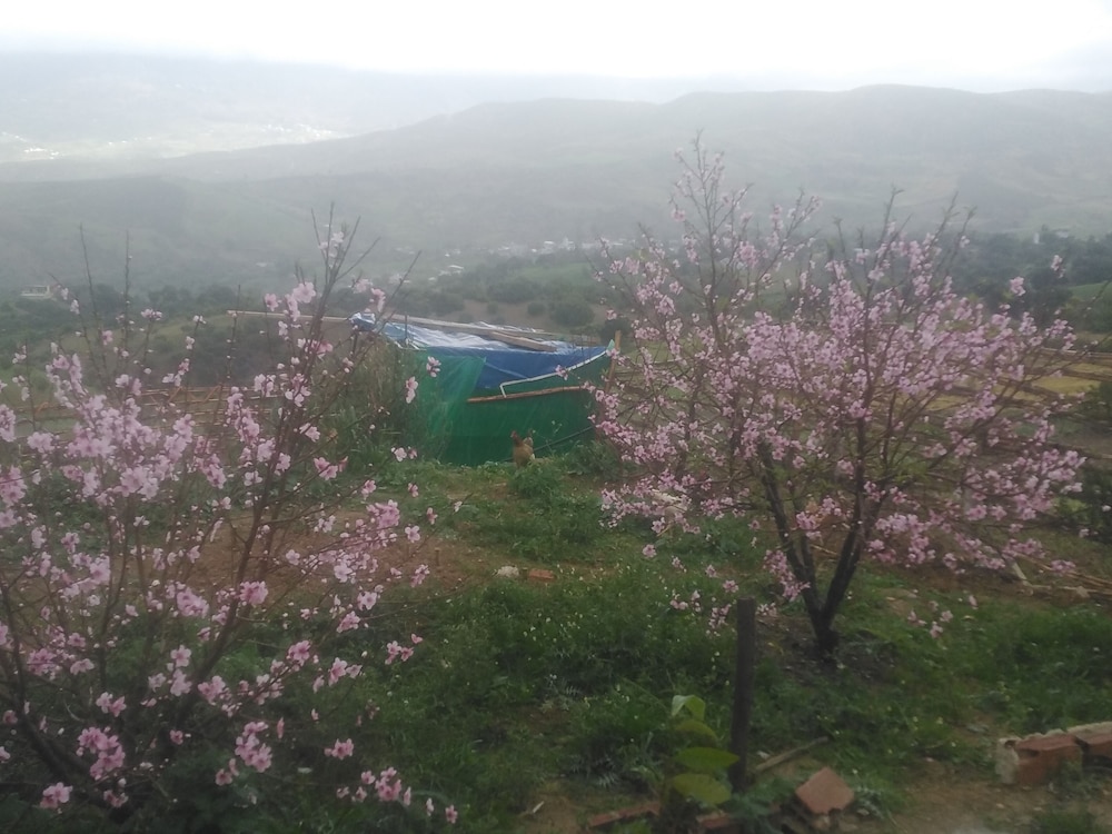 Farm stay Ali - Hostel view 5