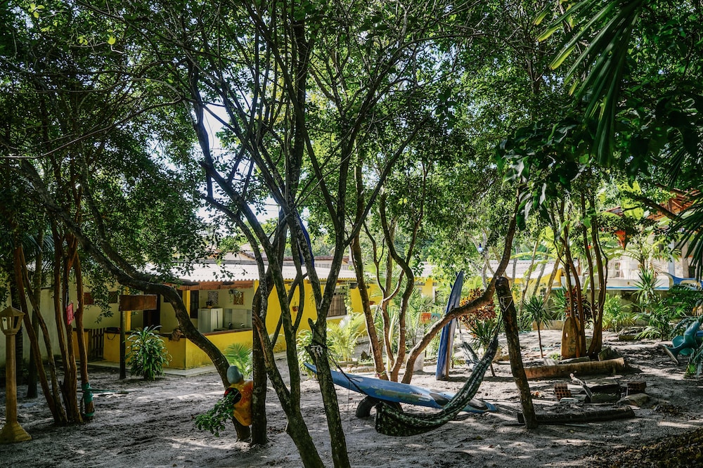 Macaco Surf House - Hostel