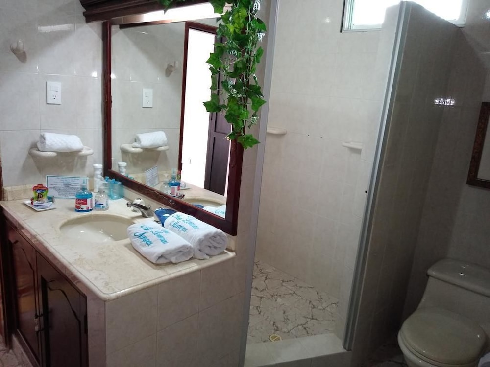 Casa Hotel Boutique Ana Lorenza - Property Image 6