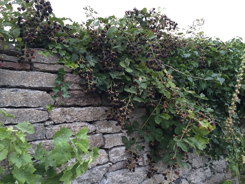 Gammalsbygårdens Gästgiveri