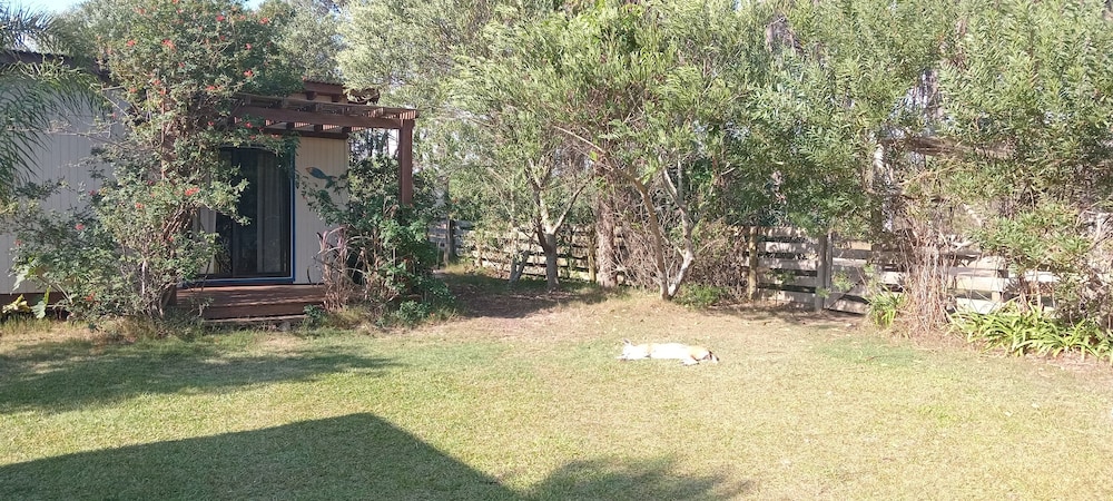 Photo 26