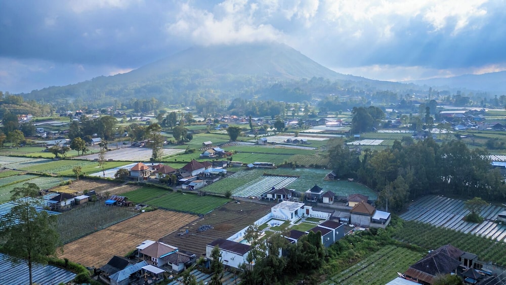 Under Hill Bali Kintamani