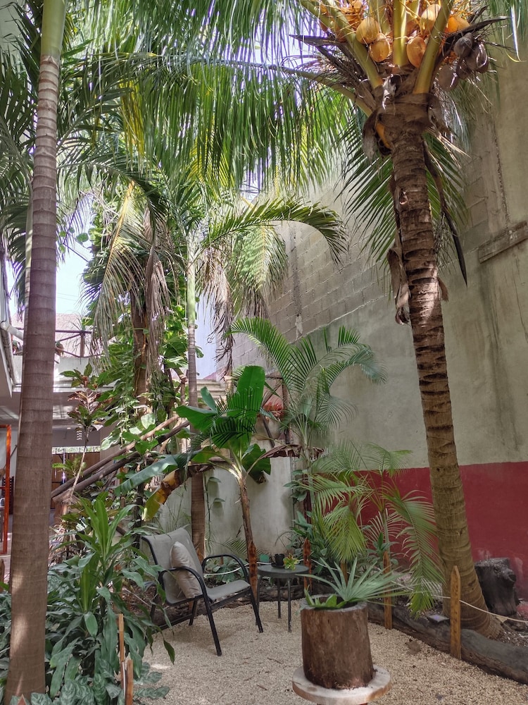 Casa Lupita