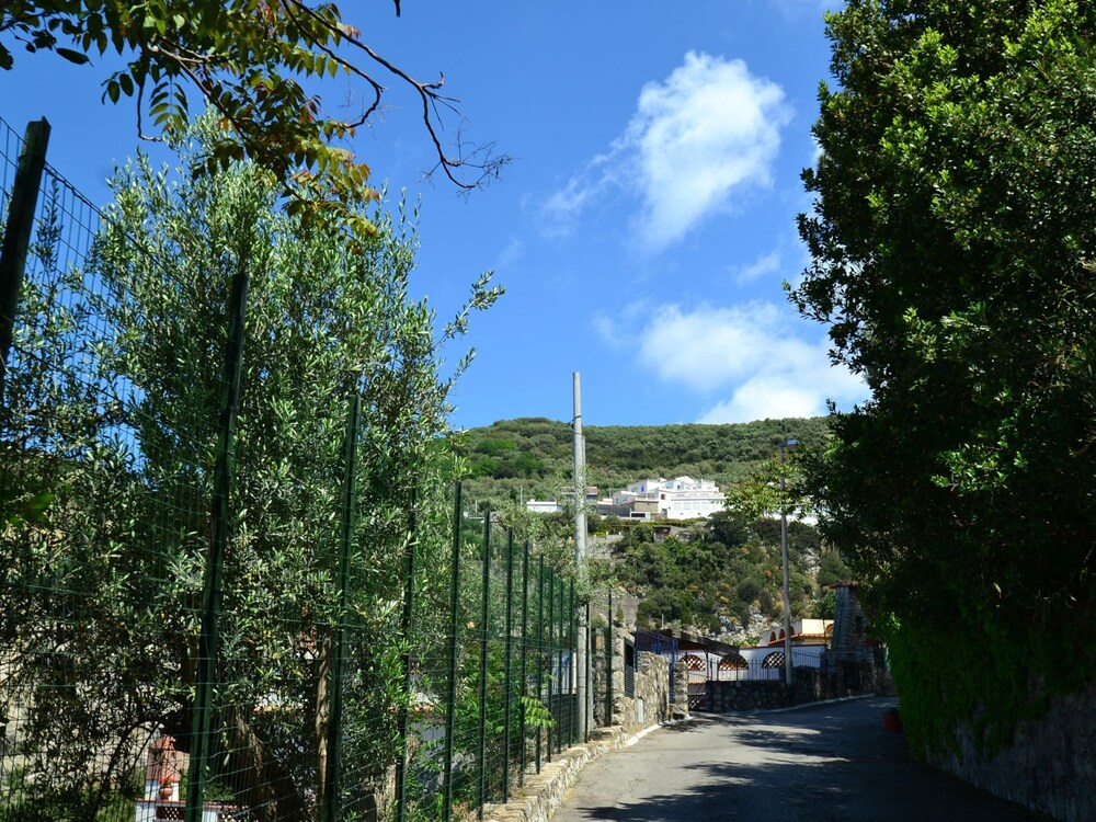 Photo 13