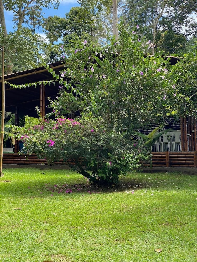 Eco Cabañas Green Eden