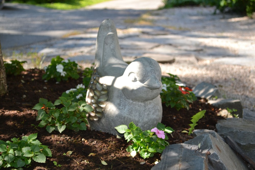 Photo 16