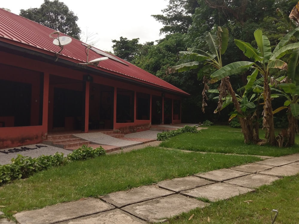 Photo 41