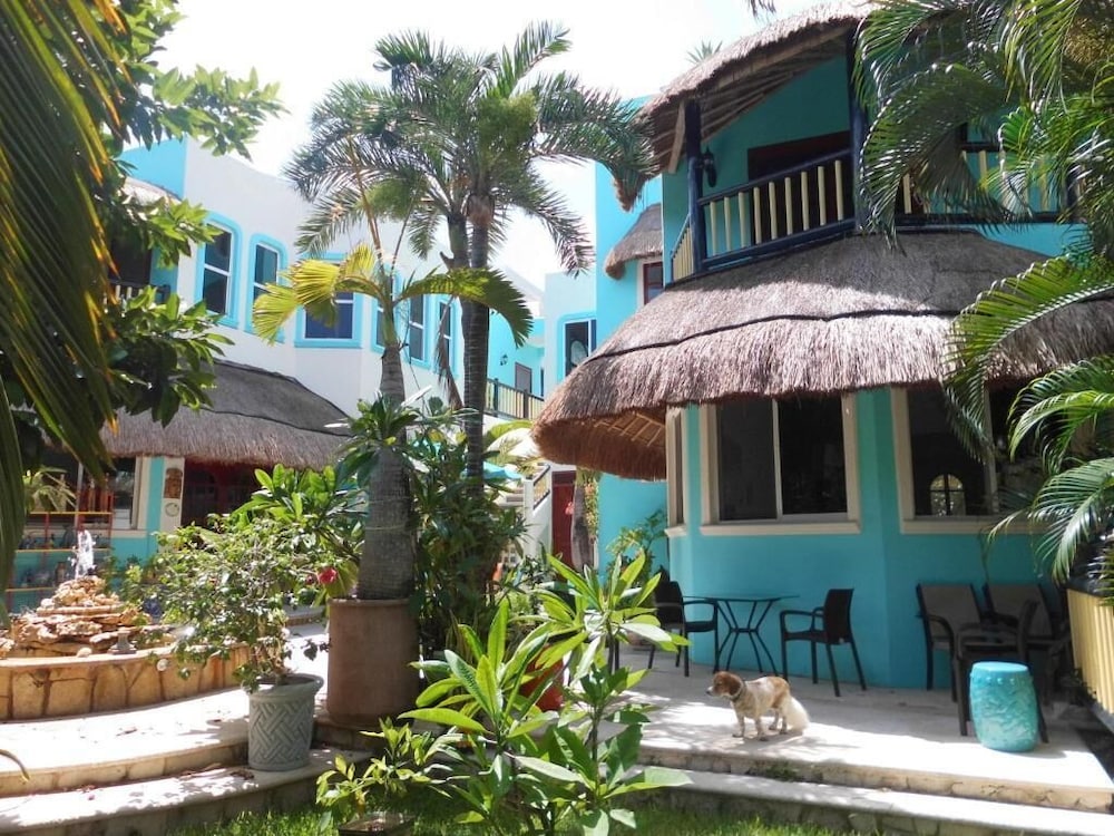 Casa Gatos