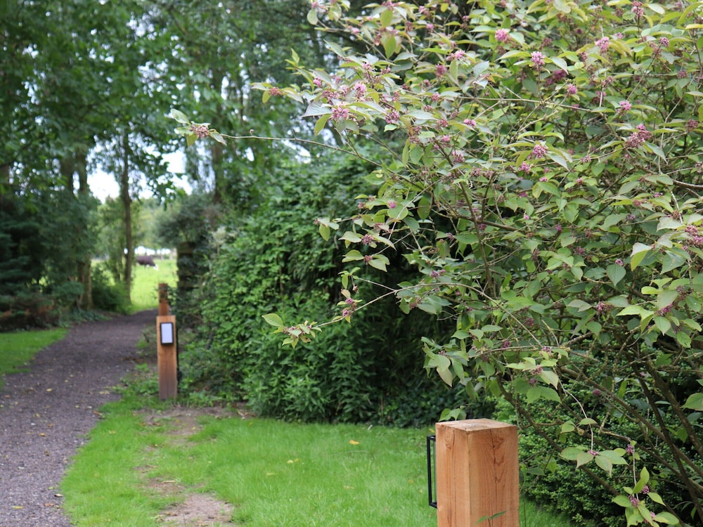 Spacious Chalet in a Rural Location Near Giethoorn