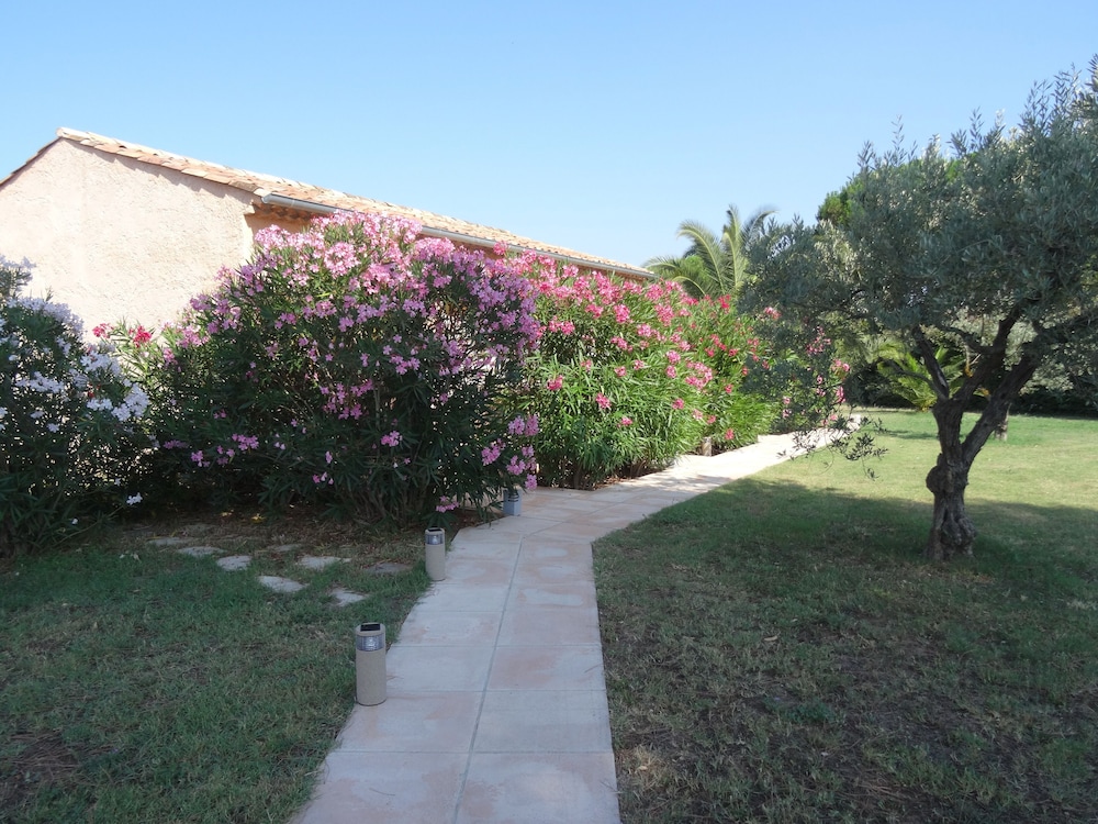 Photo 41