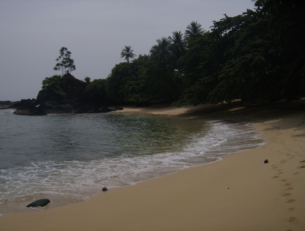 Photo 42