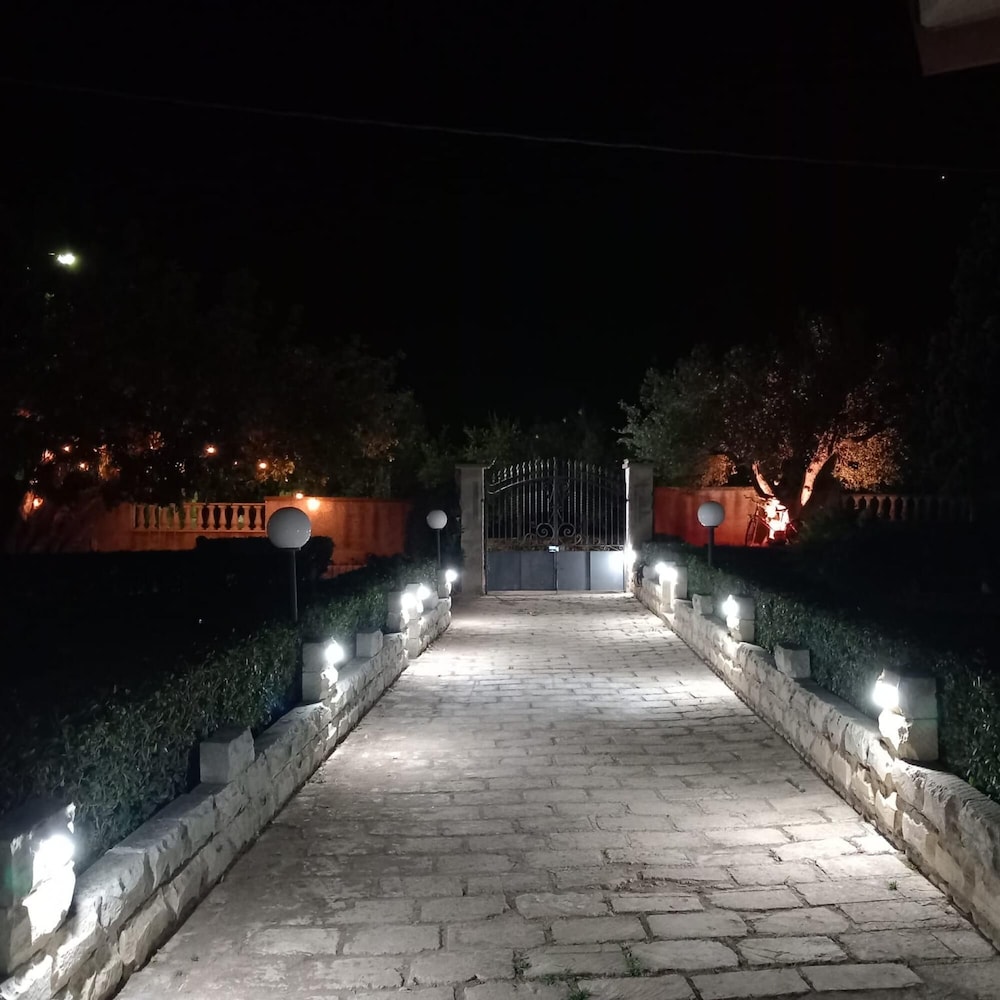 Photo 42