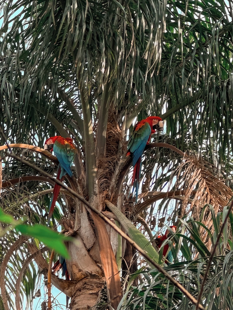 Wild Wetlands Lodge