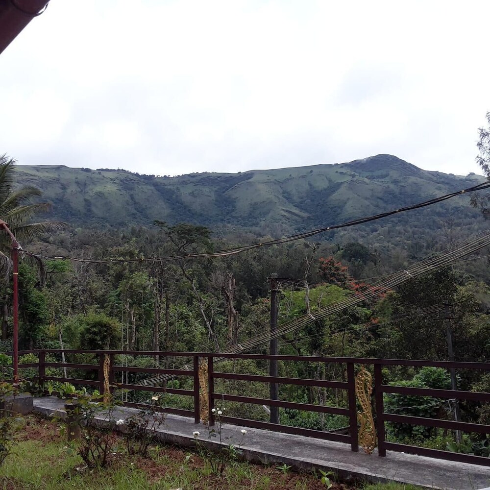 Cliff Haven Homestay