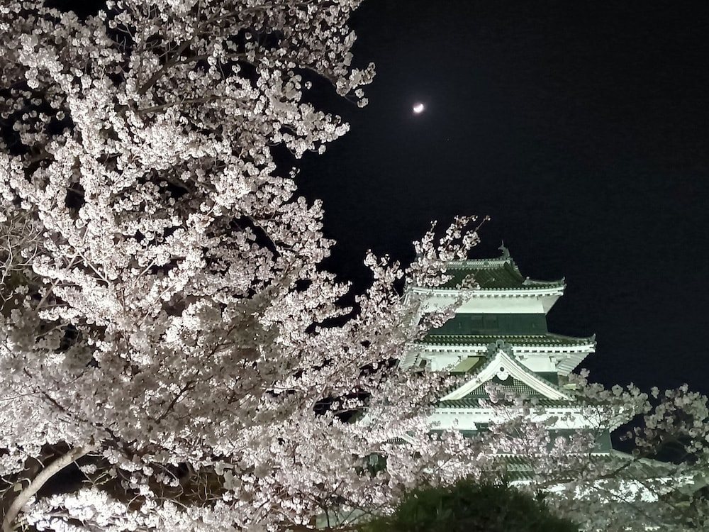 Yorozuya
