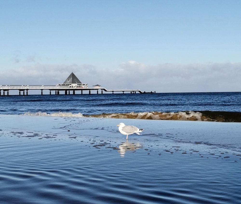 Holiday Home in Heringsdorf Near Baltic Beach