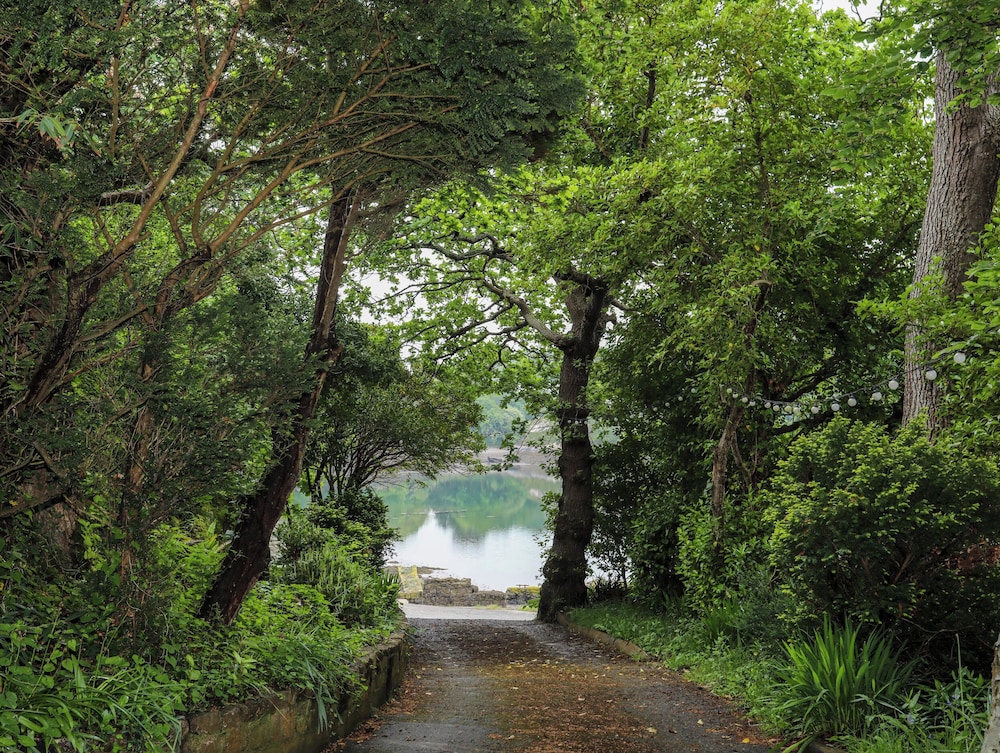 Ynys Castell