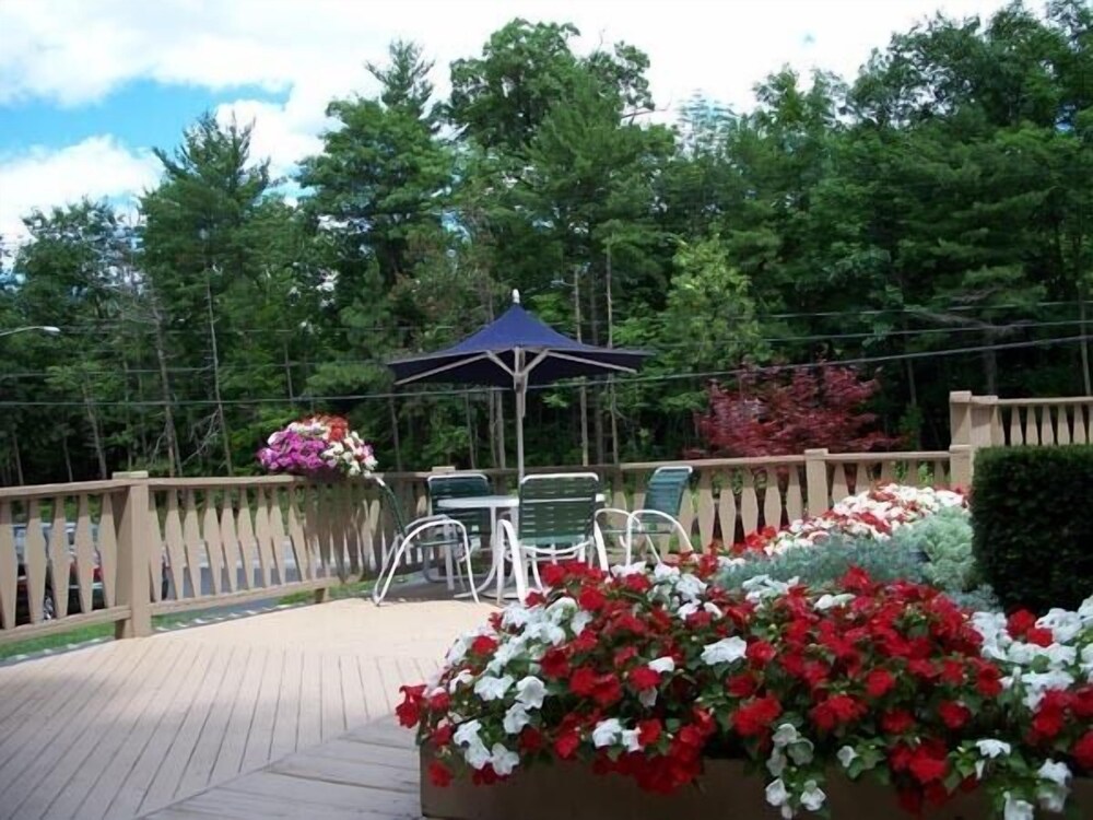 Tall Pines Motel