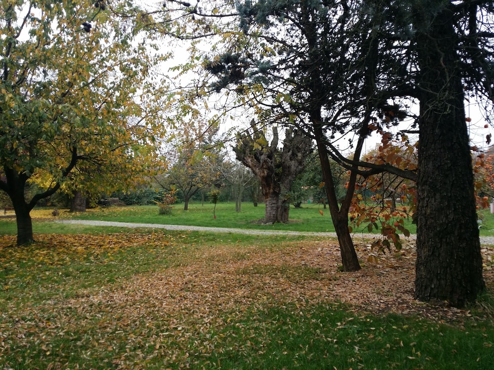 Photo 31