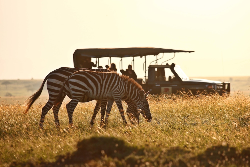 Elewana Elephant Pepper Camp