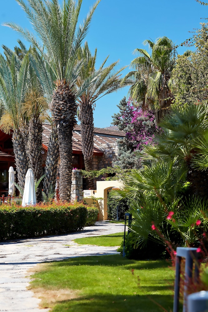 Divan Bodrum - Özel Sınıf - Image 41