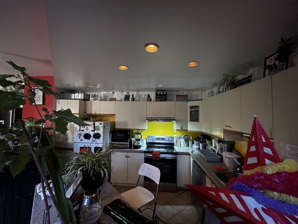 Photo 45