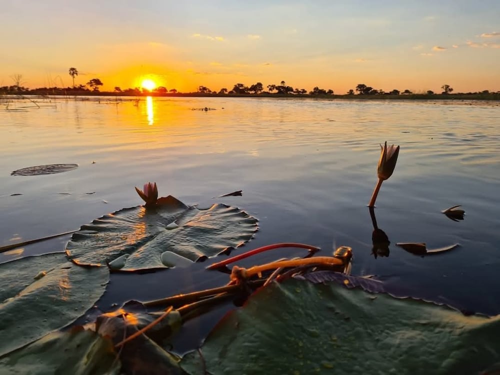 Khwai Mokoro Safaris and Campsites
