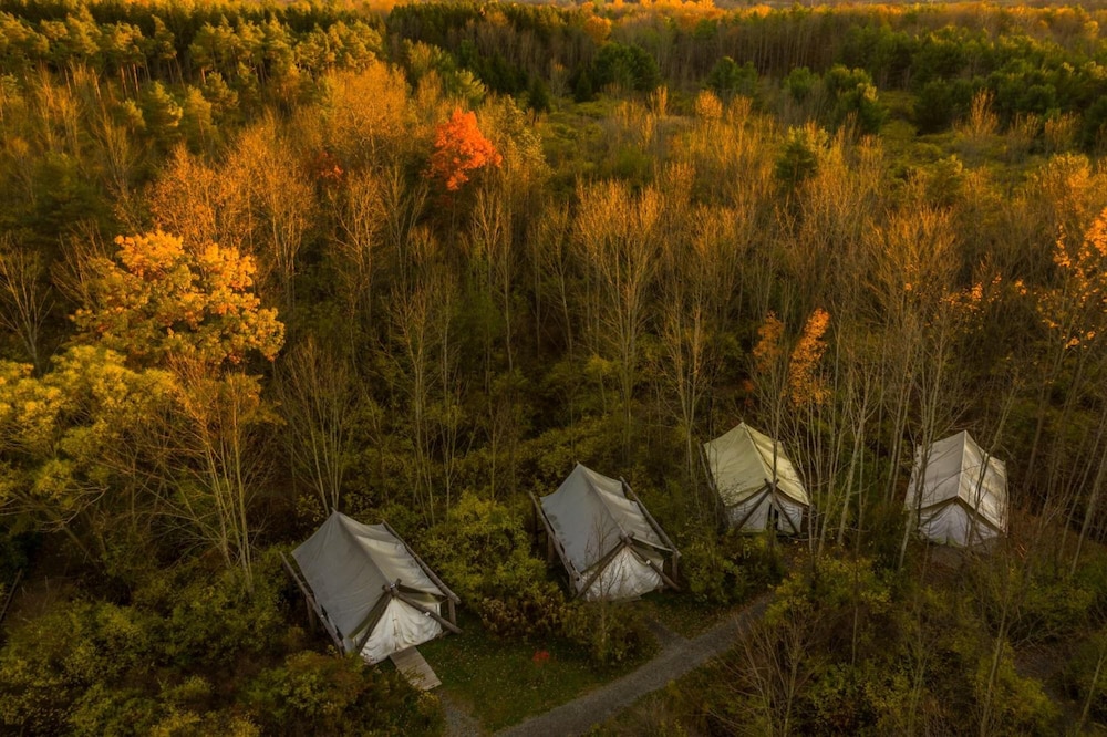 Firelight Camps