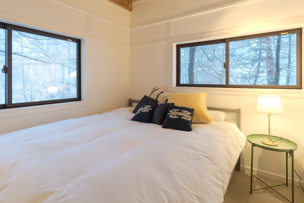 KONAYUKI CABIN HAKUBA view 5