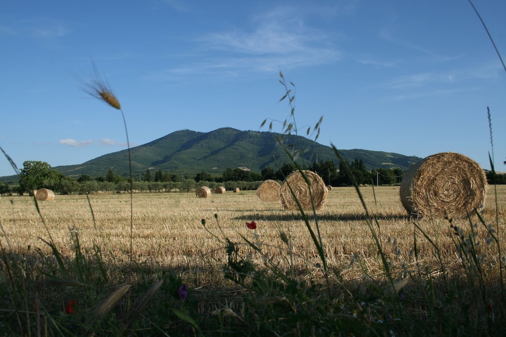 Hotel Castagneto