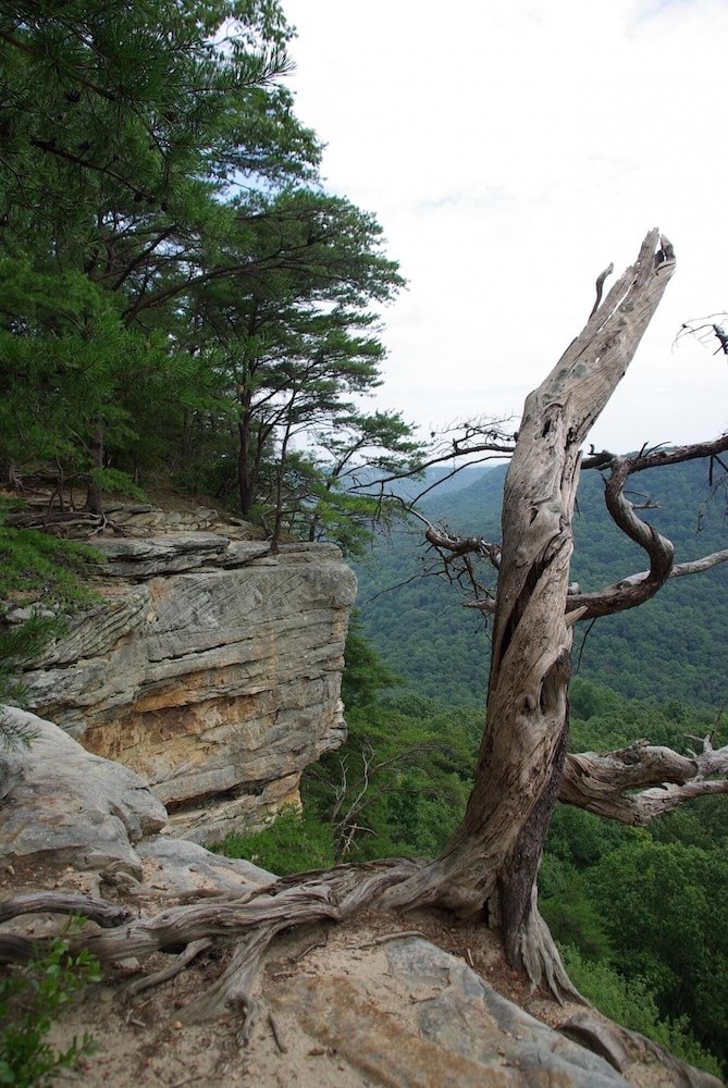 Greeter Falls Lodge 7 view 5