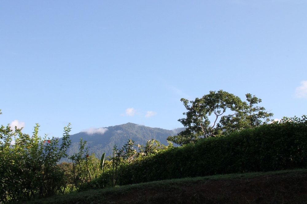Photo 48