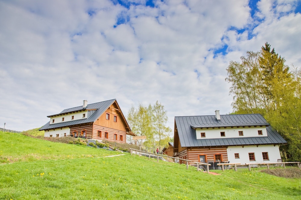 Holiday Home in Zacler by Family Ski Park