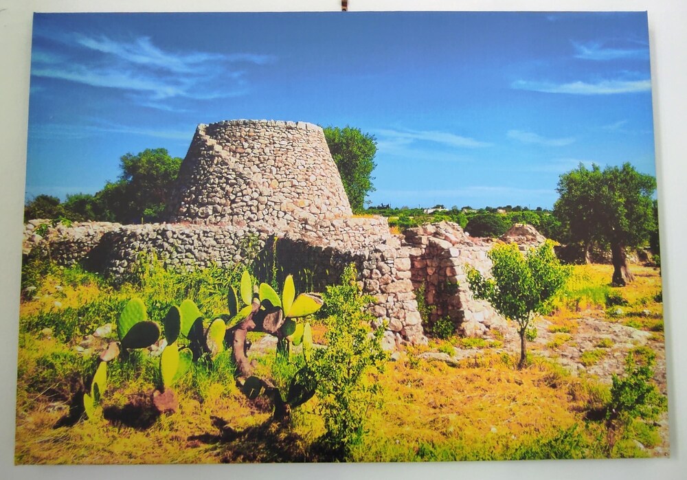 Photo 6