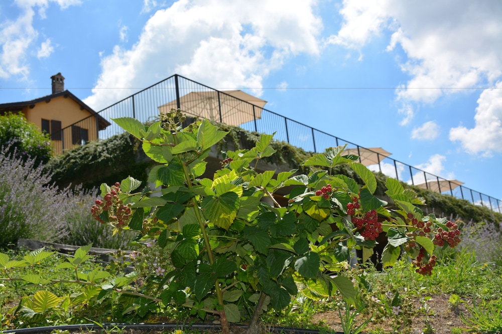 Ca' Villa Club Agriturismo