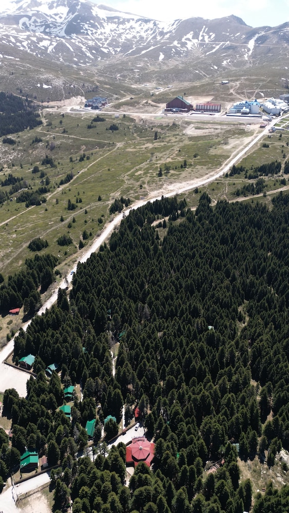 Karinna Forest Houses
