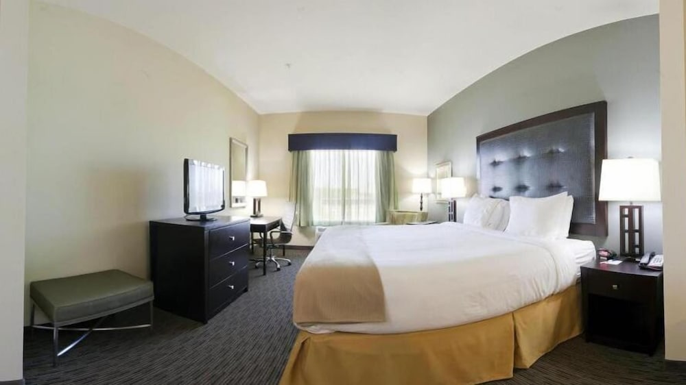 Waycross Vacations - Holiday Inn Express Hotel  Suites Waycross, an IHG Hotel - Property Image 4