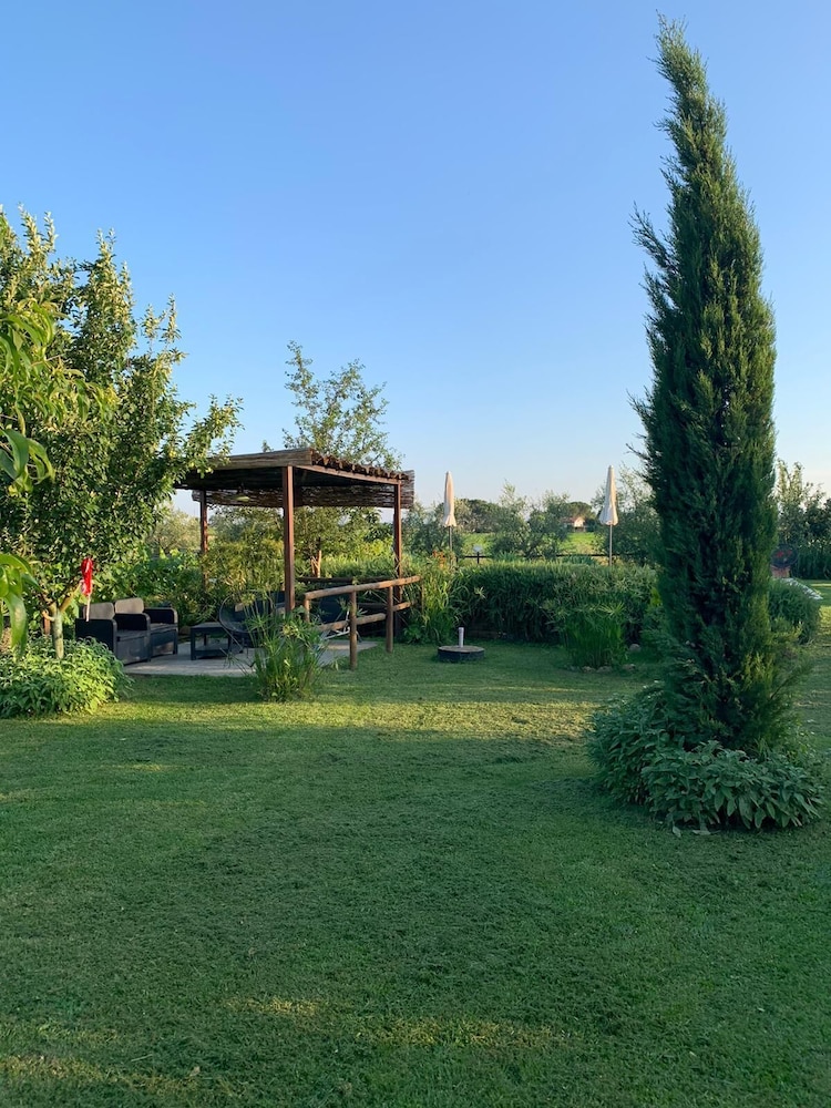 Cortona Vacations - Country House Podere Casorbica - Property Image 29
