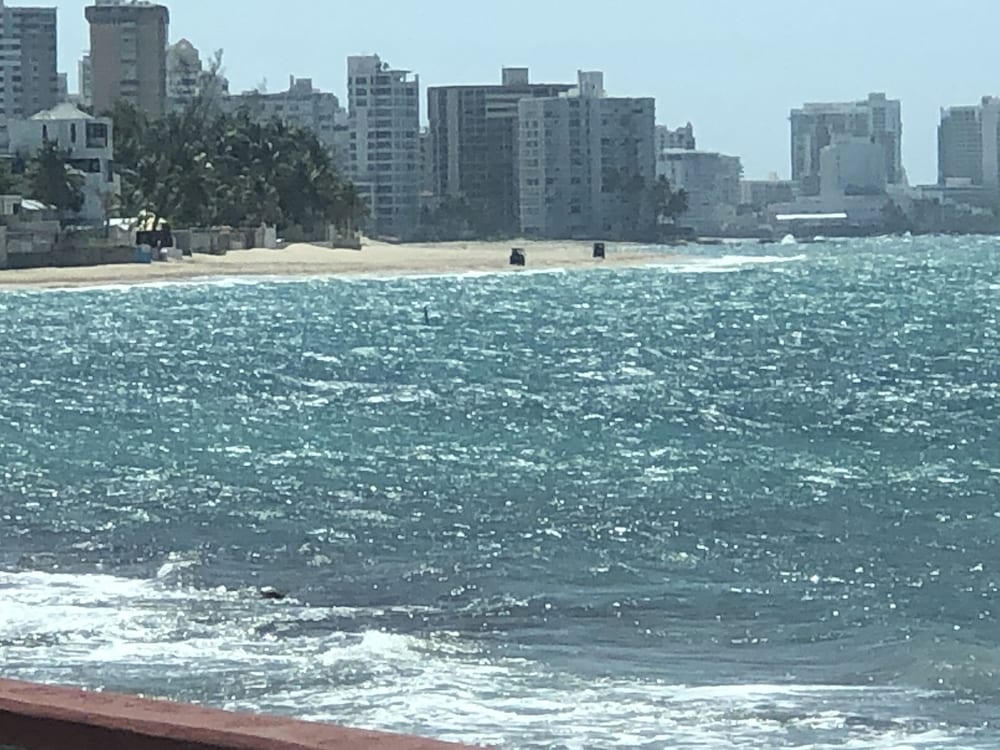 Ocean View Gorgeous 1 Bedroom Apt