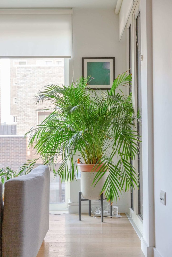 Bright Flat in Elephant & Castle