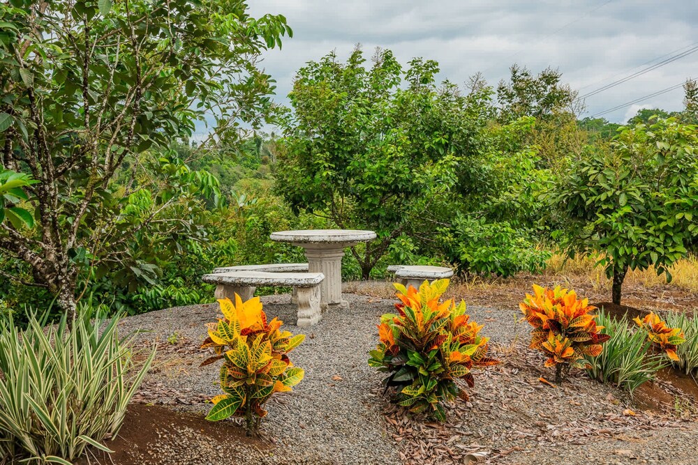 Nayari Frog Farmstay Villa La Fortuna