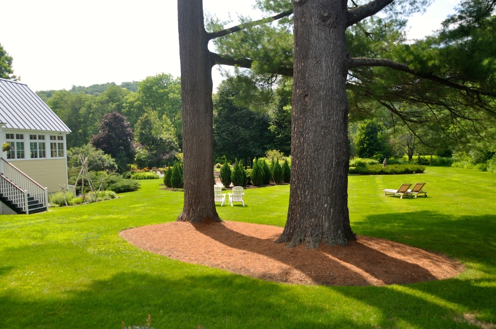 The Jackson